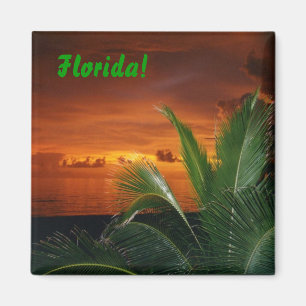 Florida! Magnet