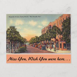 Florida, Magnolia Ave. Eustis Postcard