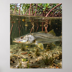 Florida Man Snook Mangrove Shoreline Fishing Art Poster