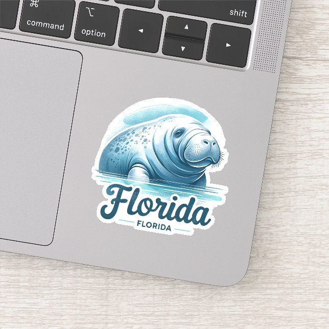Florida, Manatee, (Detail)