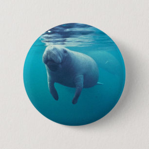 Florida Manatee 6 Cm Round Badge