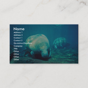 Florida Manatee Business Card