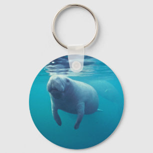 Florida Manatee Key Ring