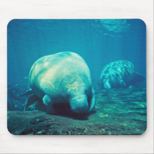 Florida Manatee Mouse Mat