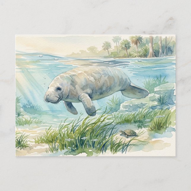Florida Manatee Watercolor Postcard (Front)