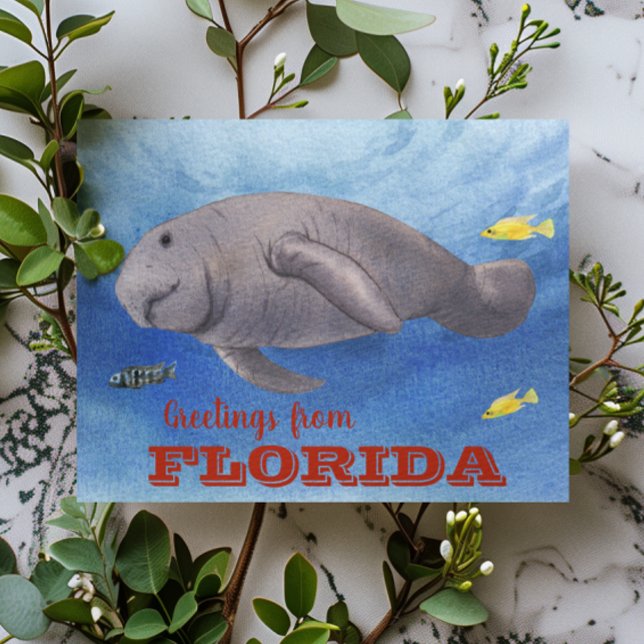 Florida Manatee Watercolor underwater Postcard (Creator Uploaded)