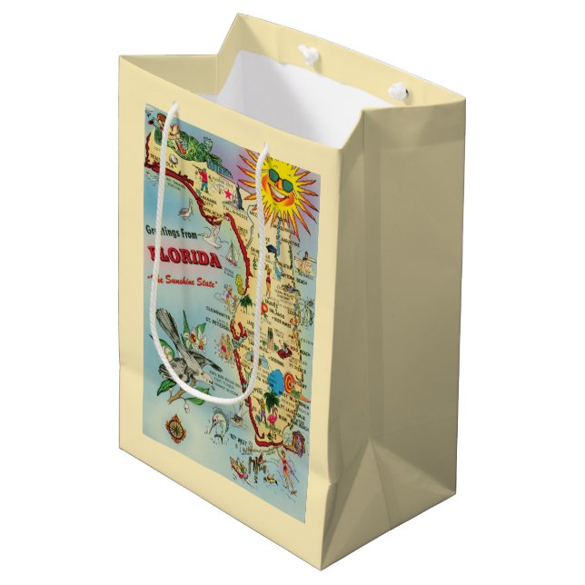 Florida Map Gift Bag (Front Angled)