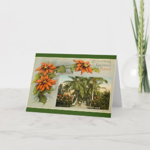 Florida Midwinter Scene Card