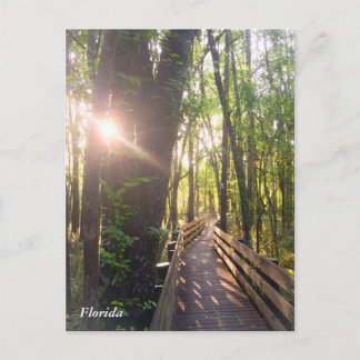 Florida morning sunrise postcard