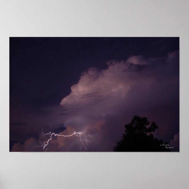 Florida Night Lightening Poster (Front)