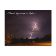 Florida Night Lightning Postcard
