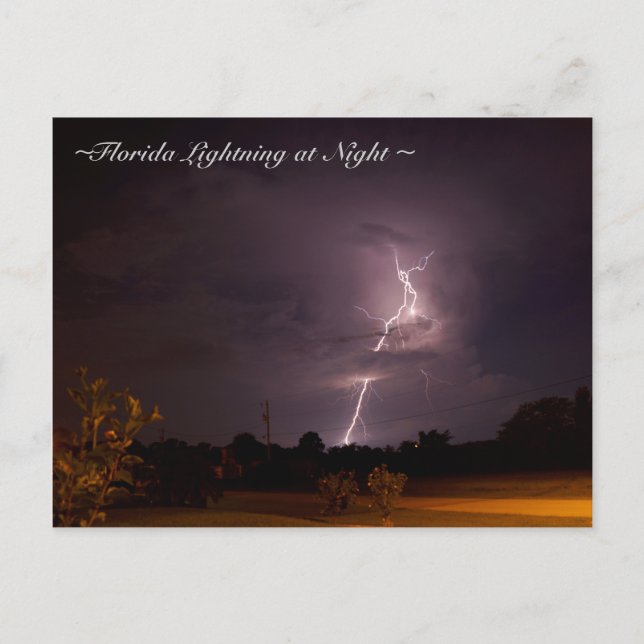 Florida Night Lightning Postcard (Front)