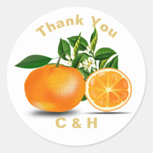 Florida Oranges & Blossom Personalised Classic Round Sticker