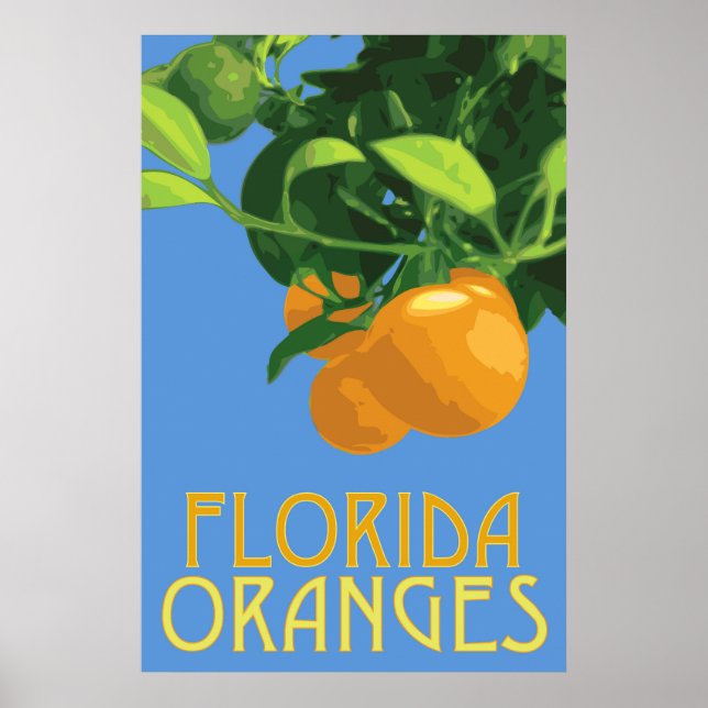 Florida Oranges Fruit Poster 24 x 36 (Front)