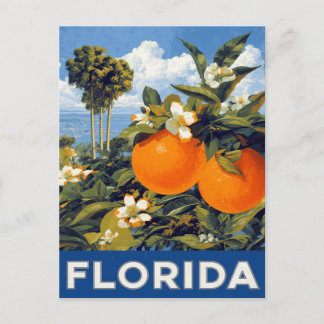 Florida Oranges Vintage Travel Postcard