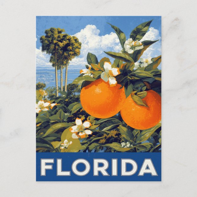 Florida Oranges Vintage Travel Postcard (Front)