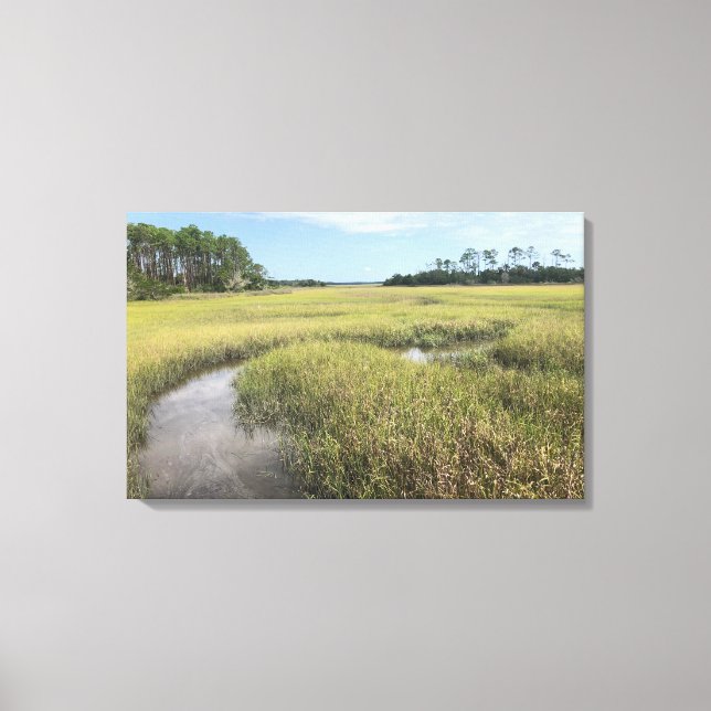 Florida Palencia Photograph Canvas Print (Front)