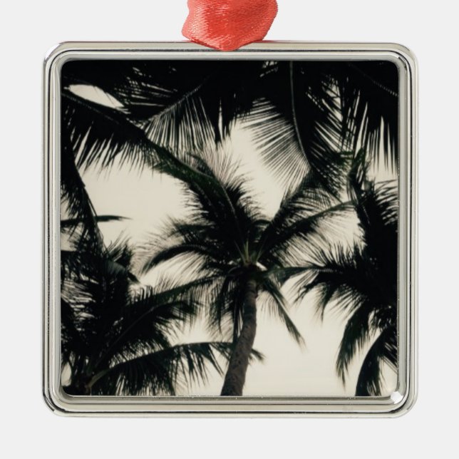 Florida Palm Tree Christmas Ornament (Front)