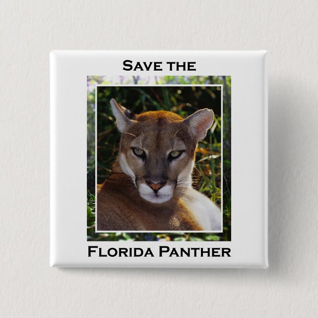 Florida Panther 15 Cm Square Badge (Front)