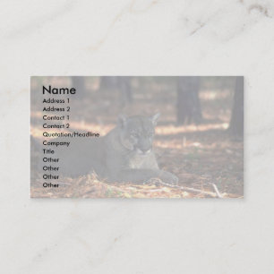 Florida """"Panther"""" (Cougar) lying down Business Card