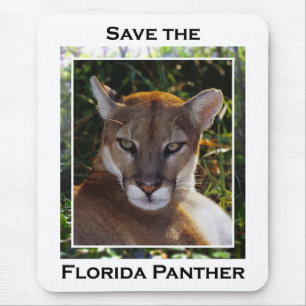 Florida Panther Mouse Mat