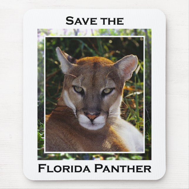 Florida Panther Mouse Mat (Front)