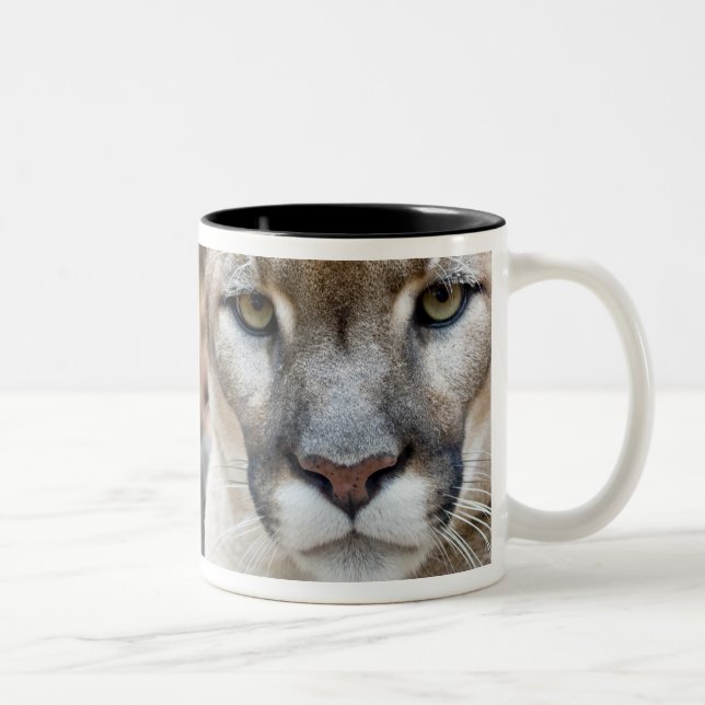 Florida Panther Two-Tone Coffee Mug (Right)