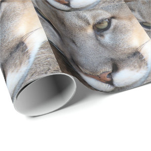 Florida Panther Wrapping Paper (4071)