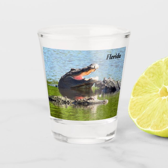 Florida Party Gator  Shot Glass (Easily Personaliz (Front)