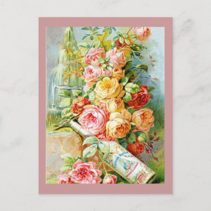 Florida Perfume Water with Cabbage Roses Postcard