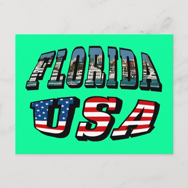 Florida Picture and USA Flag Text Postcard (Front)