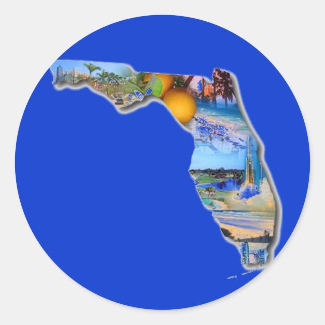 FLORIDA PICTURE DESIGN CLASSIC ROUND STICKER (Front)