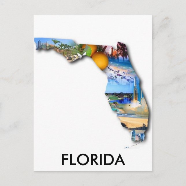 FLORIDA PICTURE DESIGN POSTCARD (Front)