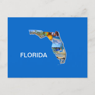 FLORIDA PICTURE DESIGN POSTCARD