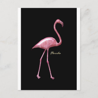 Florida Pink Flamingo Postcard