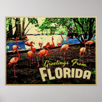 Florida Pink Flamingos