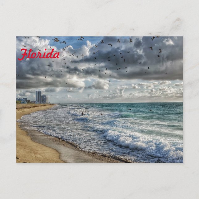 Florida Post Card South Florida Coastline (Front)