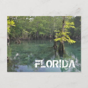 FLORIDA POSTCARD