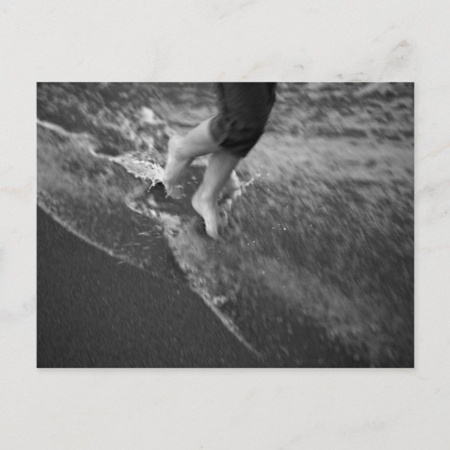 Florida Postcard (Front)