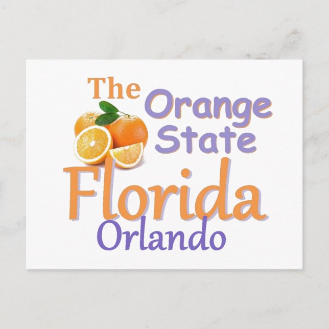 FLORIDA Postcard (Front)