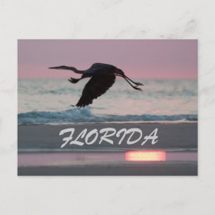 FLORIDA POSTCARD