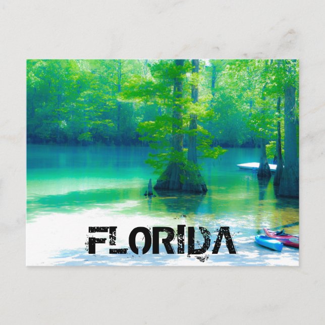 FLORIDA POSTCARD (Front)