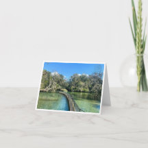Florida Postcard 3