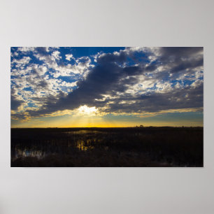 Florida Prairie Landscape Poster