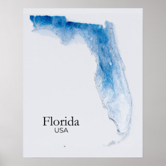 Florida Relief Map Bleu Texture Poster