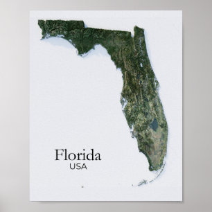 Florida Relief Map Nature Texture Poster
