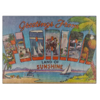 Florida  Retro Postcard