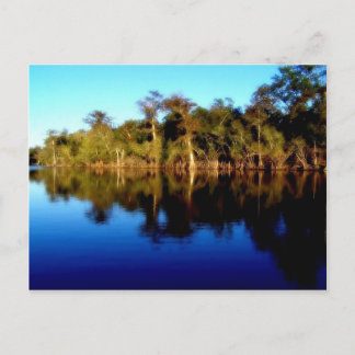 Florida River Postcard
