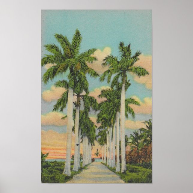 Florida Royal Palms Poster (Front)