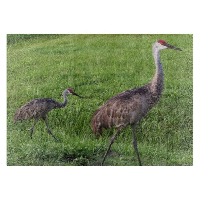 Florida Sand Hill Cranes Cutting Board (Front)